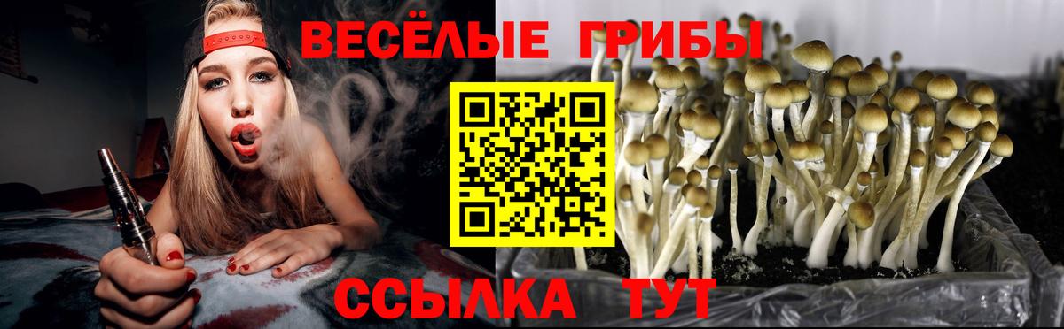 Галлюциногенные грибы Psilocybine cubensis Еманжелинск