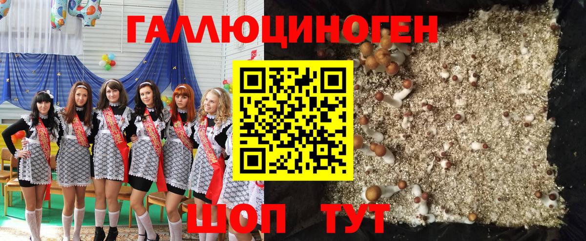 Еманжелинск  Галлюциногенные грибы прущие грибы  Вход с VPN 
